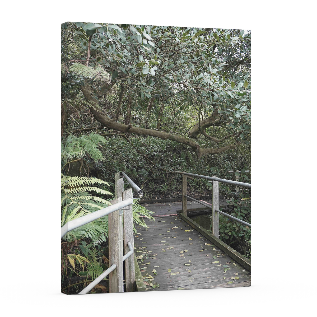 Tropical Lane