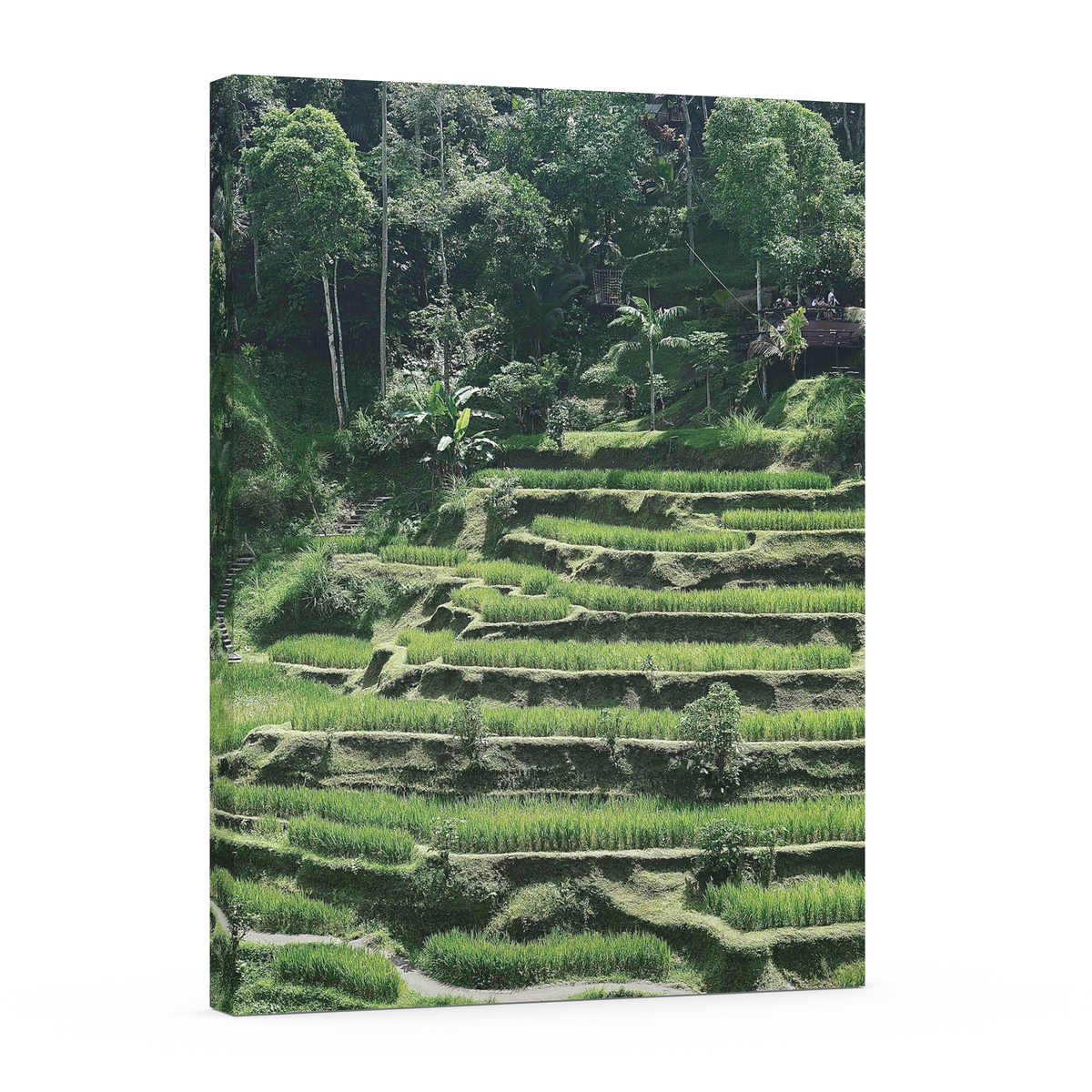 Tegallalang