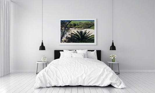 Palm