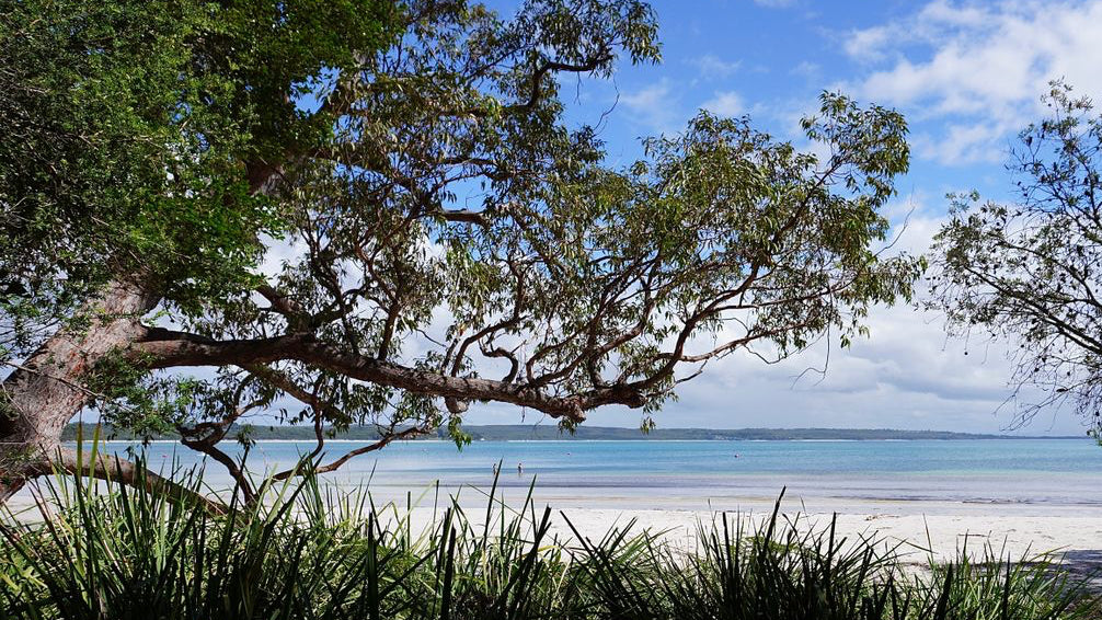 Foreshore Walk
