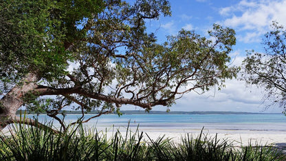 Foreshore Walk