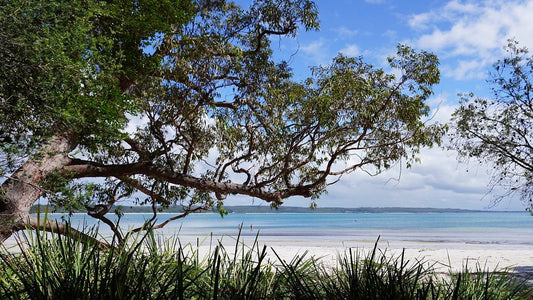 Foreshore Walk