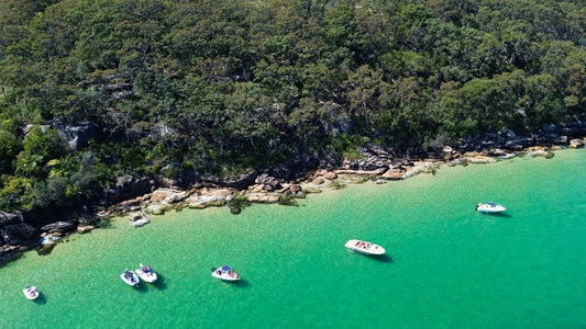 Castle Rock Beach