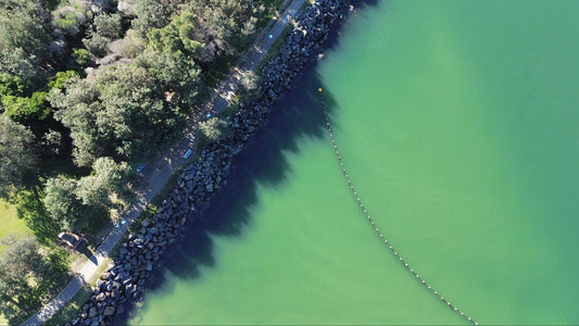 Reserve Rockpool