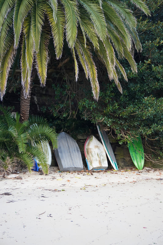 Palm Haven