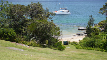 Vaucluse Shores