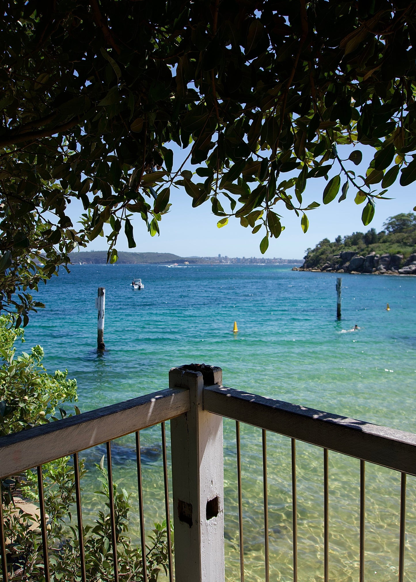 Midday Paradise