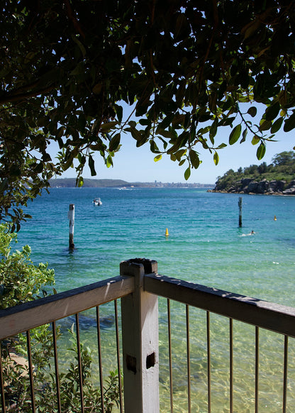 Midday Paradise