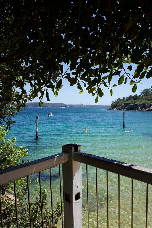 Midday Paradise