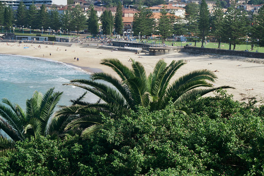 Coogee Coastline