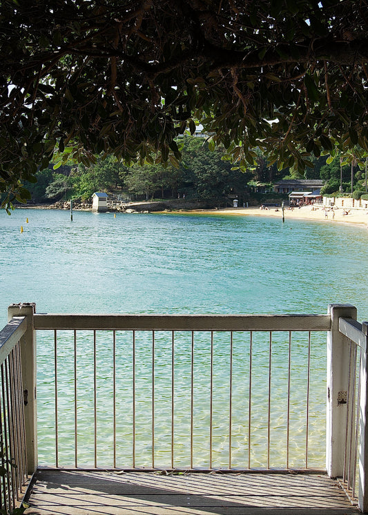 Camp Cove