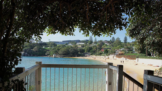 Cove Lookout