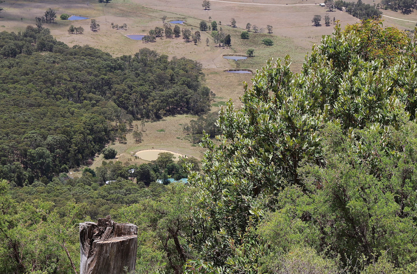 Previous Parachute Runaway