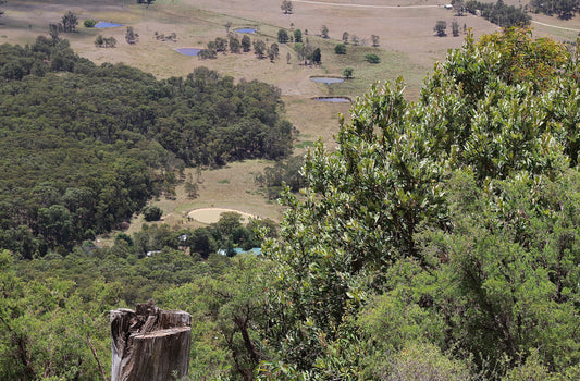 Previous Parachute Runaway