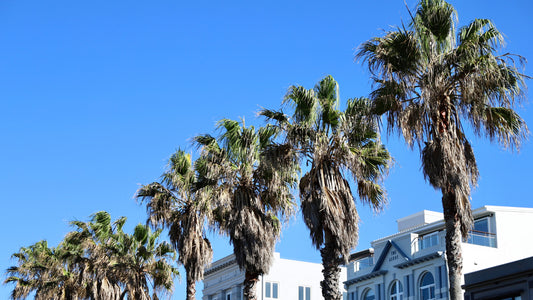 Californication