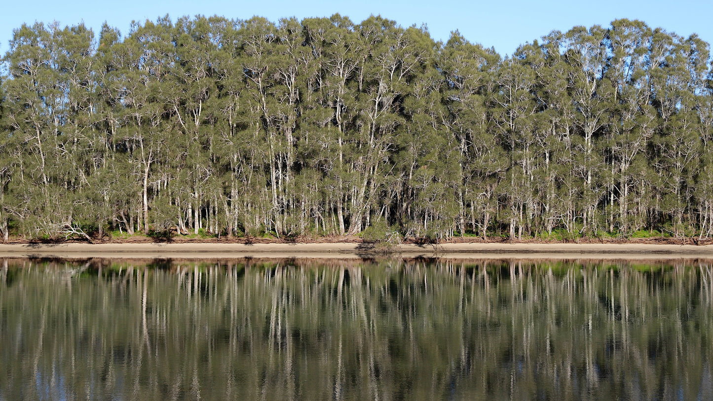 Reflections