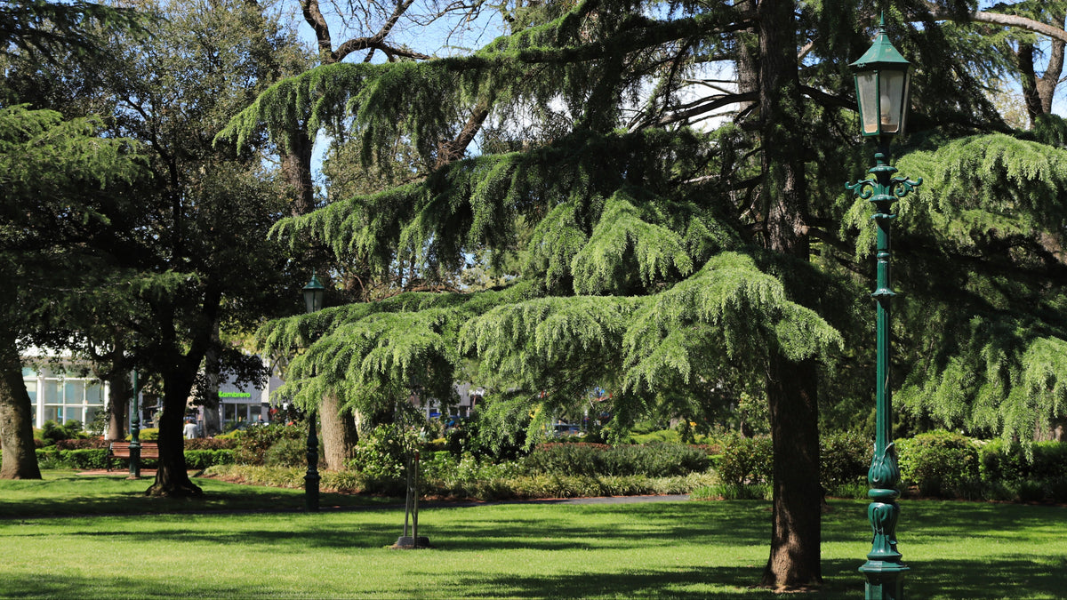 Bendigo