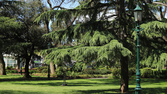 Bendigo