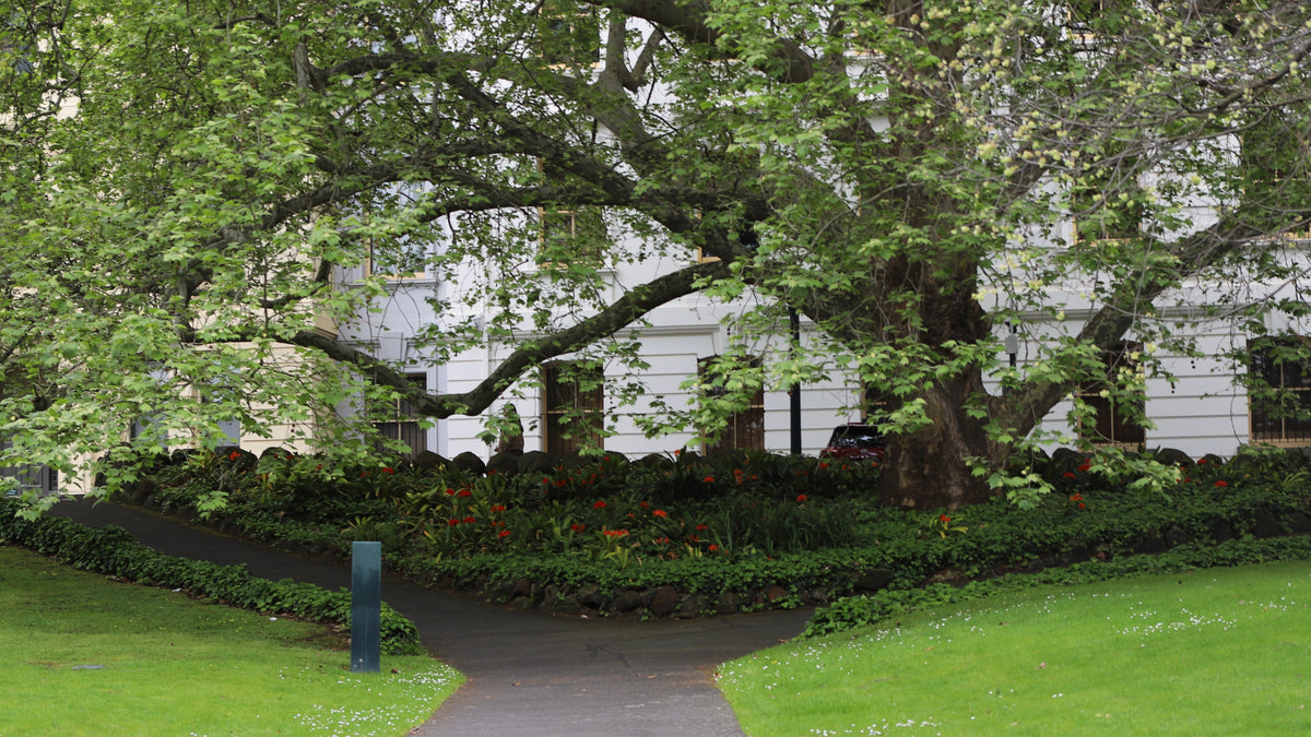 Parkland Front