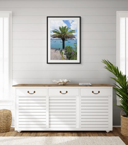 Ocean Palm