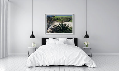 Palm