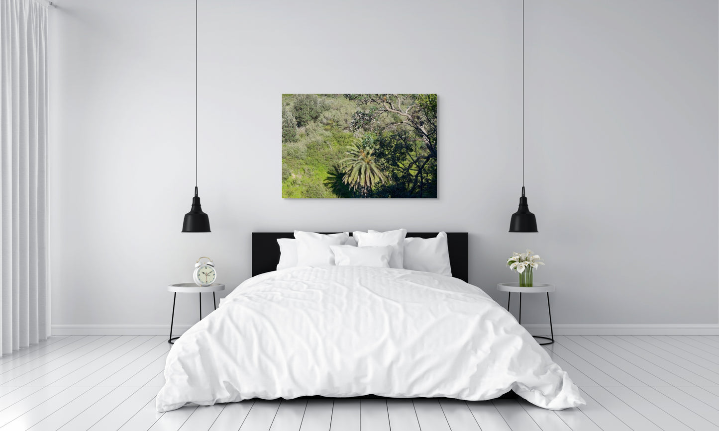 Palm Tree