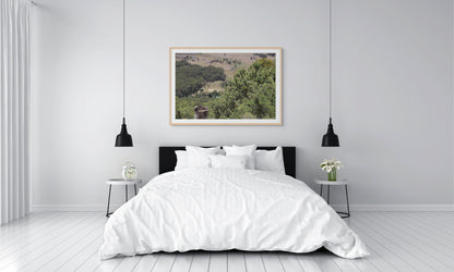 Previous Parachute Runaway