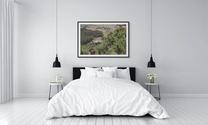 Previous Parachute Runaway