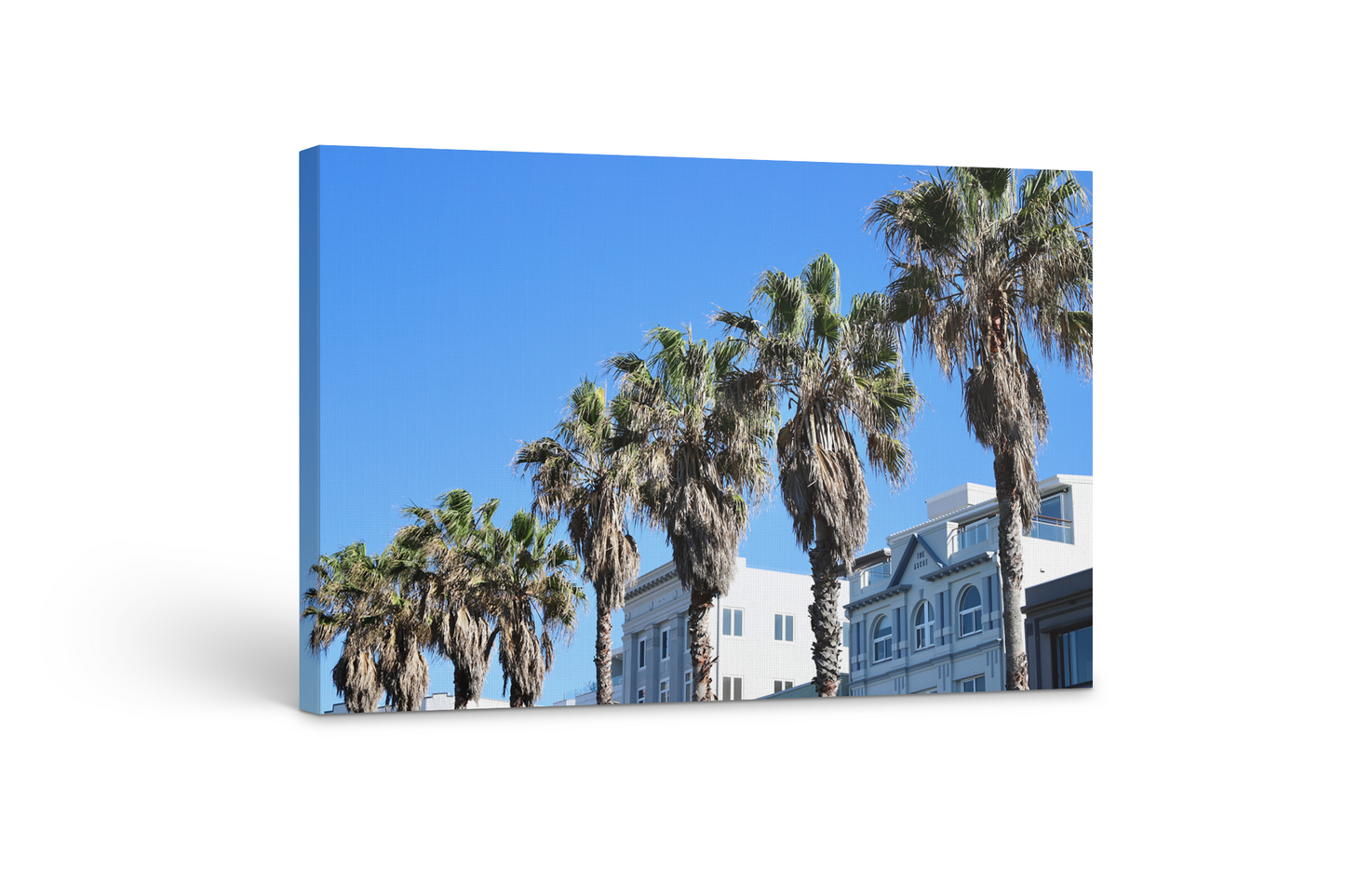 Californication