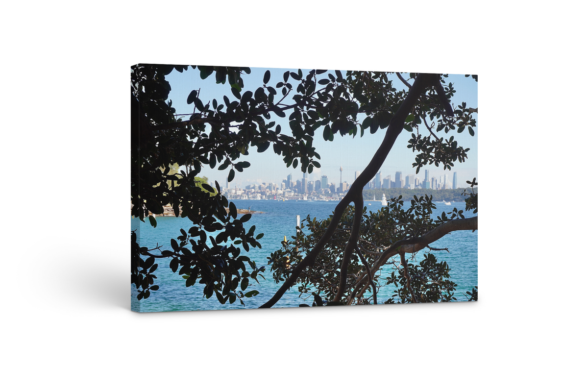 Perspective