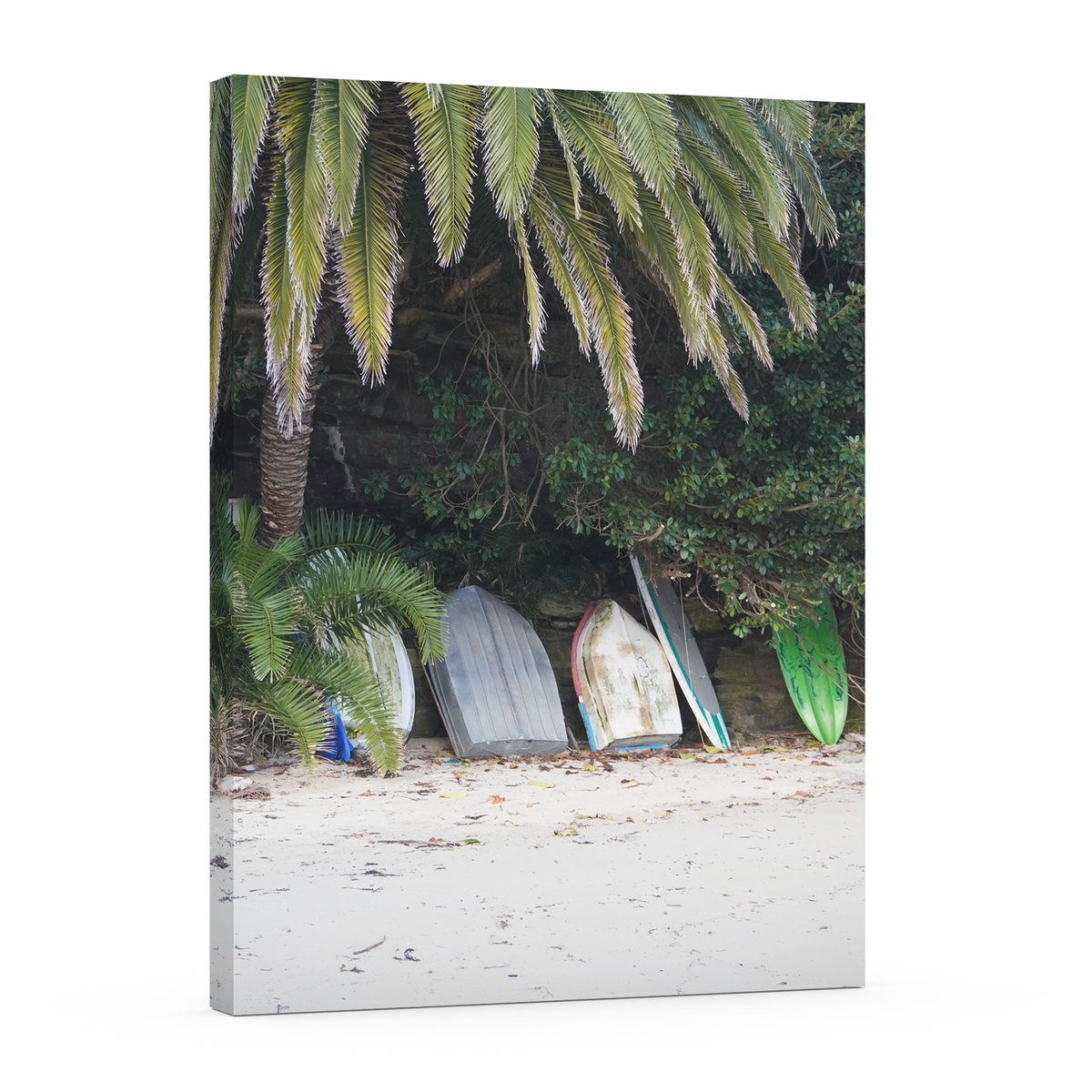 Palm Haven