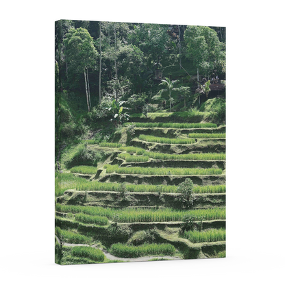 Tegallalang