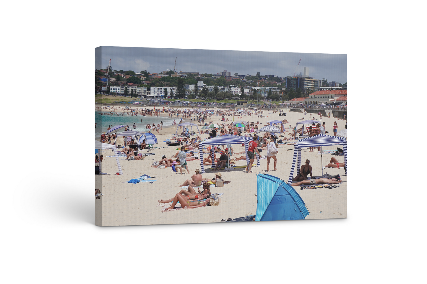Bondi Recovery