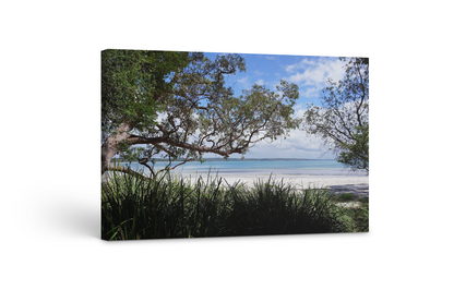 Foreshore Walk