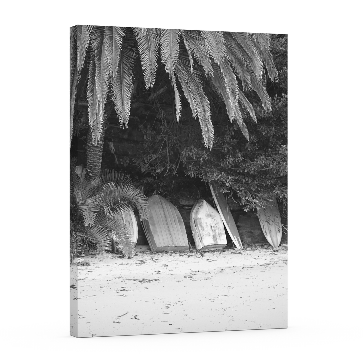 Palm Haven