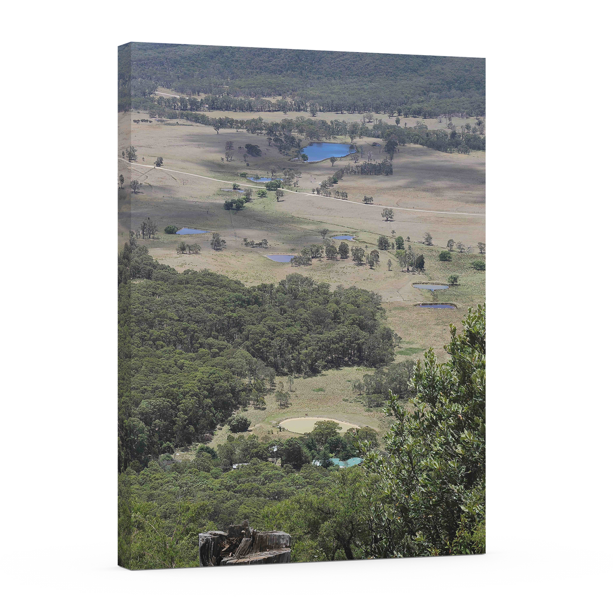 Distant Views