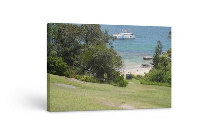 Vaucluse Shores