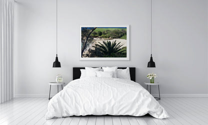 Palm